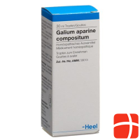 Galium aparine compositum Heel Tropfen 30 ml
