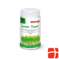 Morga Green Power Plv Ds 100 г