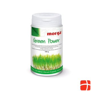 Morga Green Power Plv Ds 100 g