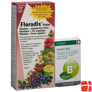 Floradix VEGAN 500ml+DüNNER Vitamin B12 vegan gratis