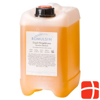 Romulsin Dusch Ringelblume 5 x 500 ml