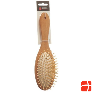 Herba hairbrush wood large oval