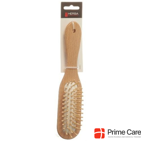 Herba hairbrush wood long