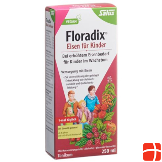 Floradix Eisen für Kinder Saft Fl 250 ml