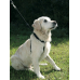 Kerbl Dog Harness Maxi Leader