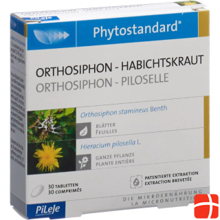 Phytostandarts Orthosiphon-Habichtskraut Tablette