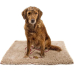 Dog Gone Smart Dirty Dog Doormat Dirt Mat