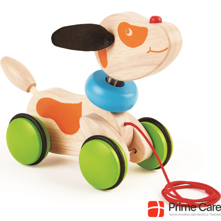 Pintoy Pull-along puppy