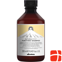 Davines Naturaltech - Purifying Shampoo