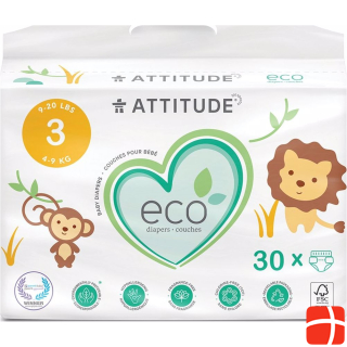 Attitude Eco