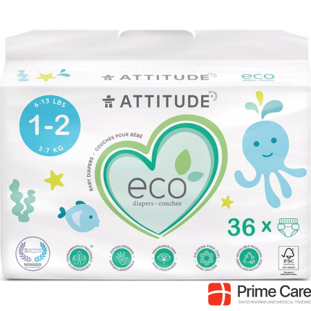 Attitude Eco