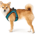 Hunter Dog harness Hilo Comfort
