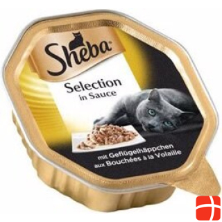 Sheba Selection in sauce