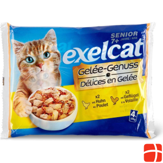 Exelcat Jelly Senior Poultry