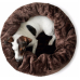 Hunter Livingston dog and cat sleeping place