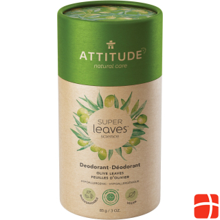 Attitude Olive Leaves