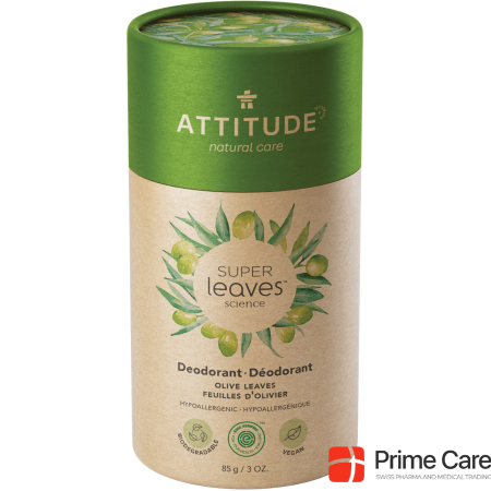 Attitude Olive Leaves