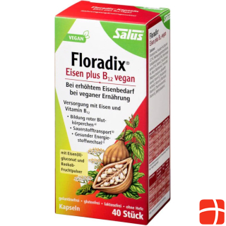 Salus Floradix Iron + B12 Capsules