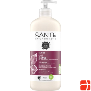 Sante Family Шампунь для блеска Органический березовый лист и растительные протеины