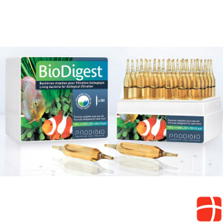 Prodibio BioDigest