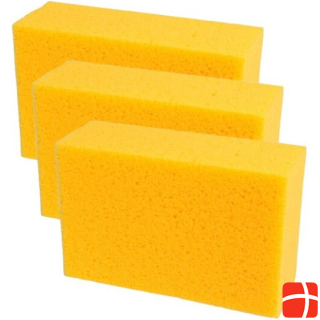 Hauptner Set of 3 sponges