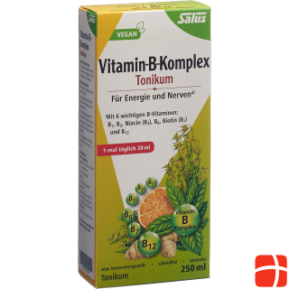 Salus Vitamin-B-Komplex