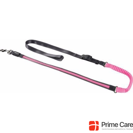 AniOne LED jogging leash with belt
