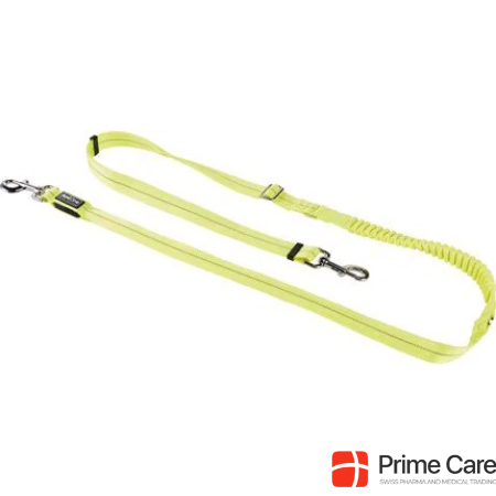 AniOne LED jogging leash with carabiner