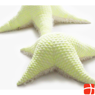 BigStuffed Neon starfish