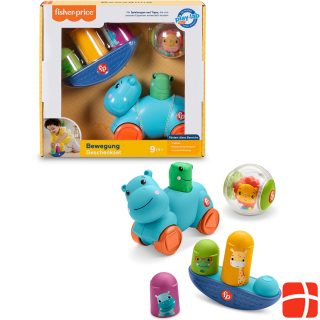Fisher-Price Play Kit 9M+ Hello Moves (D)