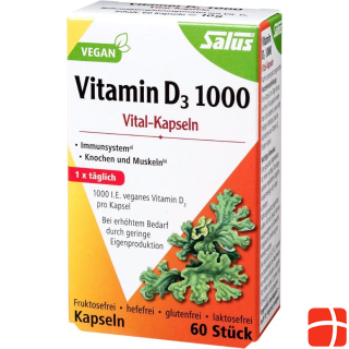 Salus Vitamin D3 1000 Vital Kapseln