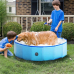 Champ Dog pool
