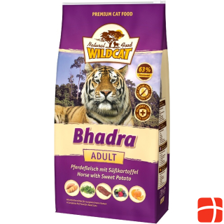 Wildcat Adult Bhadra