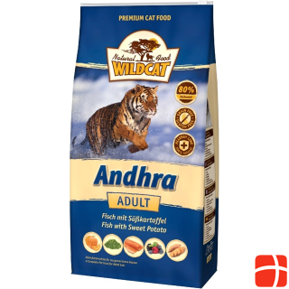Wildcat Adult Andhra