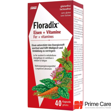 Floradix Iron + vitamins