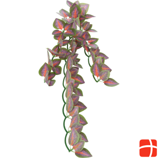 Шелковистое стелющееся растение Trixie Folium Perillae