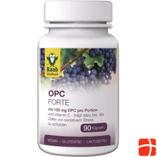 Raab OPC Forte mit Vitamin C