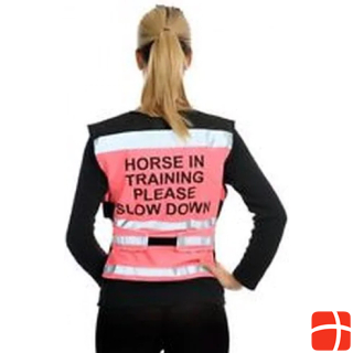 Equisafety Horse In Training Please Slow Down Air Vest