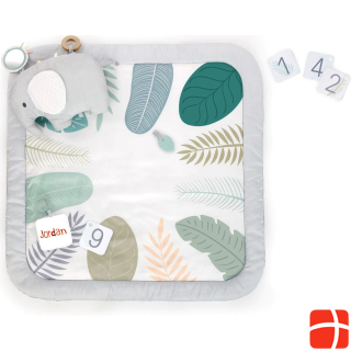 Ingenuity Sprout Spot™ Baby Milestone Activity Mat