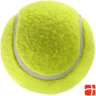 Джоко собака с мячом для тенниса