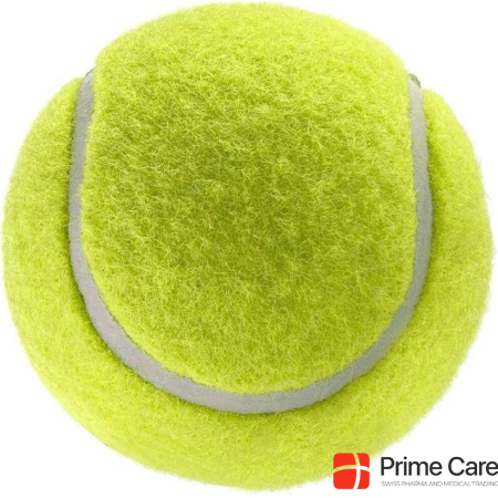 Джоко собака с мячом для тенниса