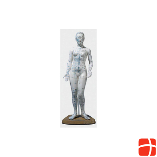 Модель Рюдигера женская акупунктурная фигура