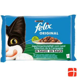 Felix Felix