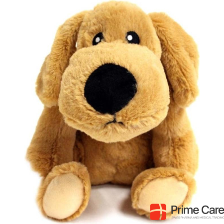 Wolters Dog toy plush dog, 20 cm
