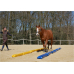 Dönges Horse alley filled set with four beams 300 x 17 x 10 cm each