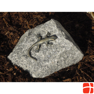 Neogard Lizard on Black Forest granite
