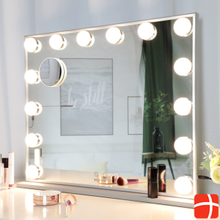 Anyhi Make-up-Spiegel mit Licht, Silber 606