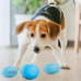 Doggy Village Frantic ORB A moving, interactive ball with colorful lighting for dogs