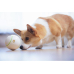 Doggy Village Prize ORB A moving, interactive ball with treats for medium and large dogs