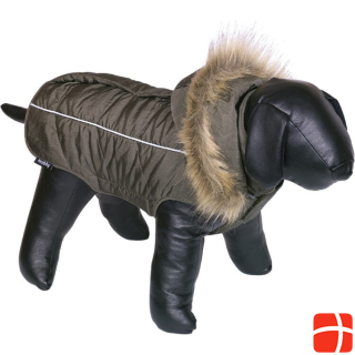 Nobby Dog coat ARCTIC